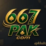 667pak game
