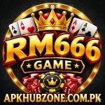 RM666 Game